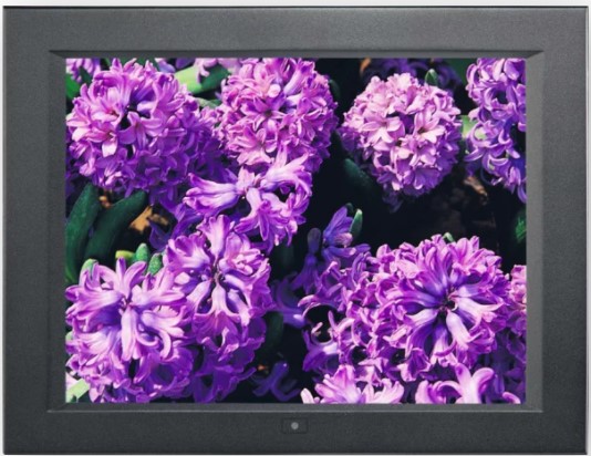 15 - Professional and Versatile 15″ LED Monitor 1 15 - Professional and Versatile 15″ LED Monitor